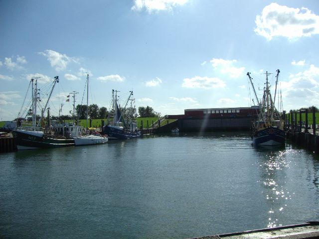 Bild des Hafens