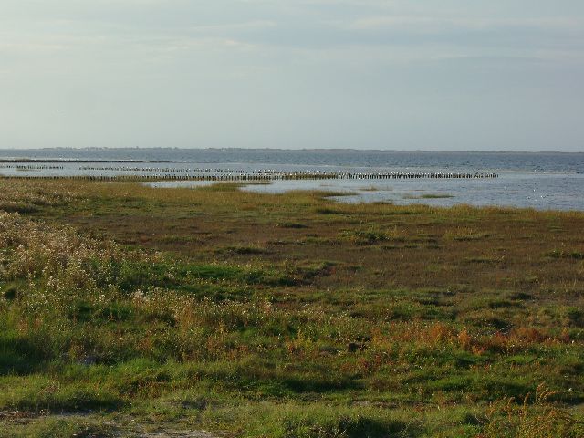 Naturschutzgebiet